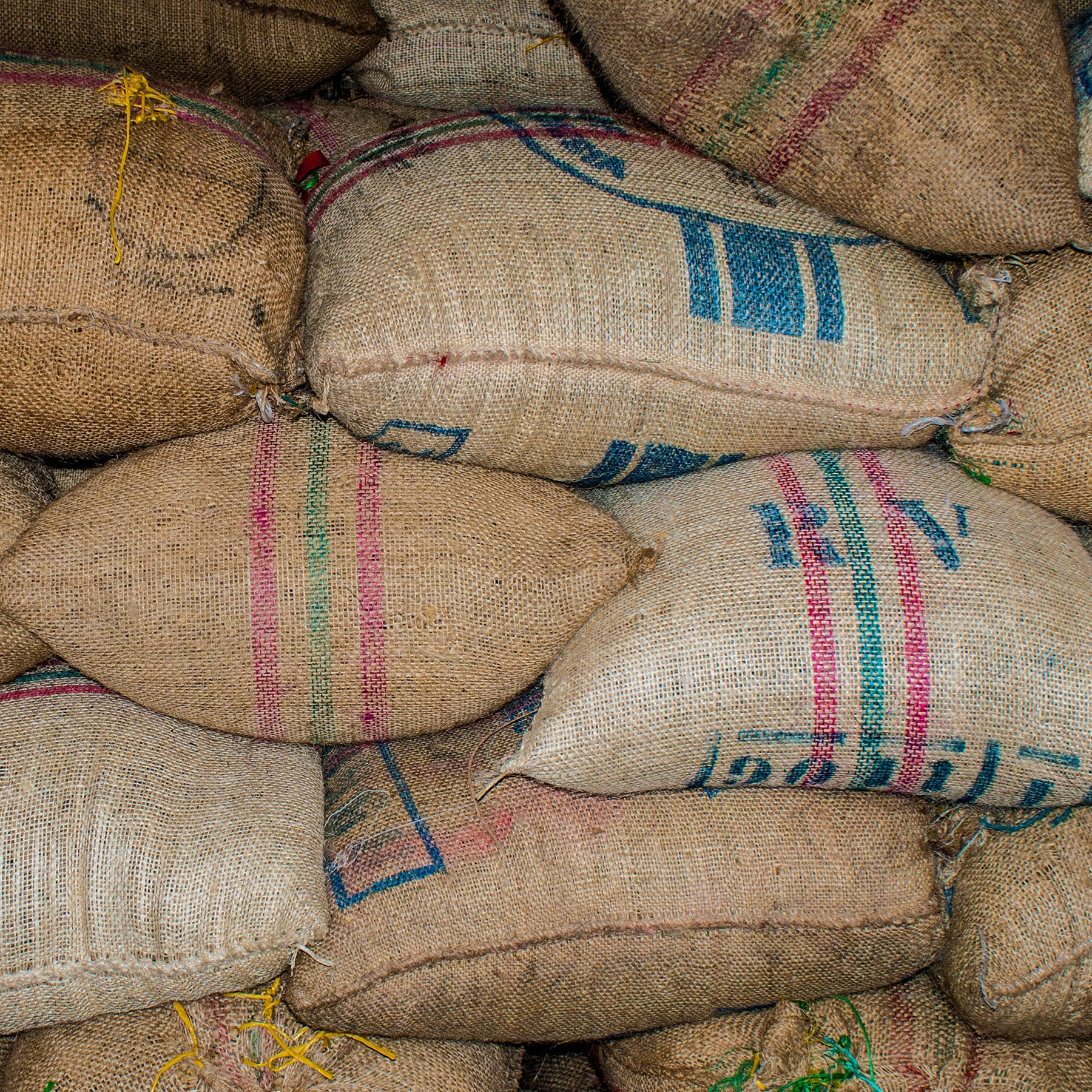 Coffee Subscriptions